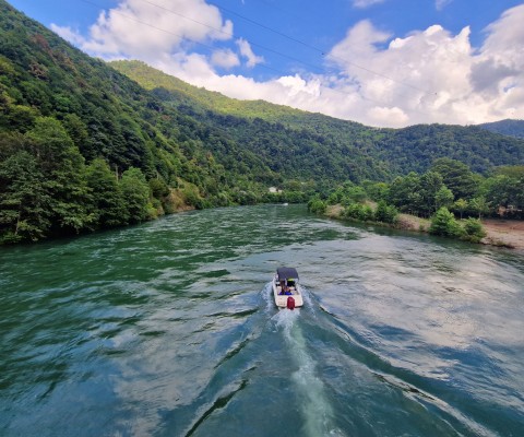 Зиплайн в Батуми. Zipline в Батуми. Zip line в Батуми. 550 метров.